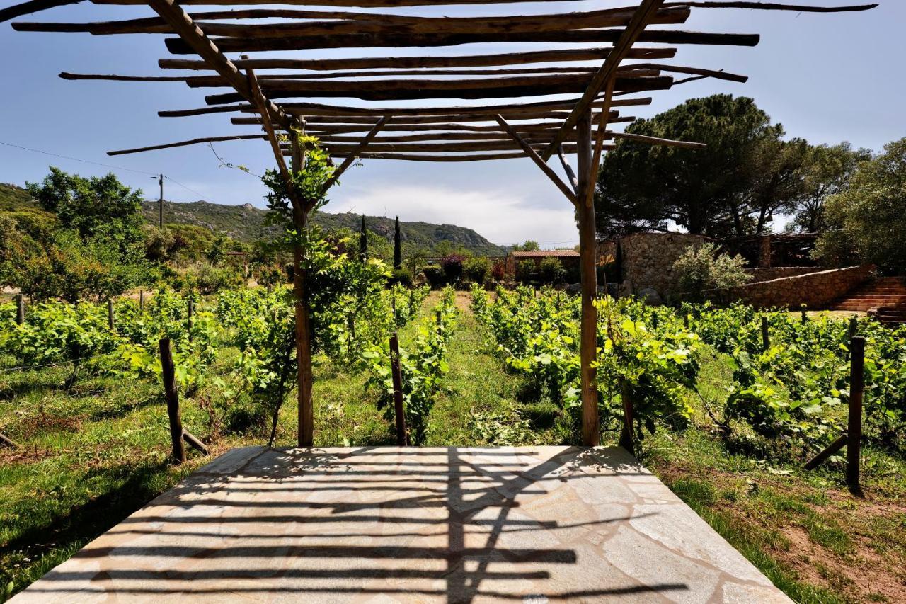 Domaine Pozzo Di Mastri Hotel & Spa ฟิการี ภายนอก รูปภาพ